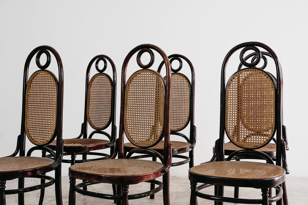 Set 6 Sedie Sautto & Liberale Vintage Anni 50 Legno Curvato Paglia di Vienna Stile Thonet Leone