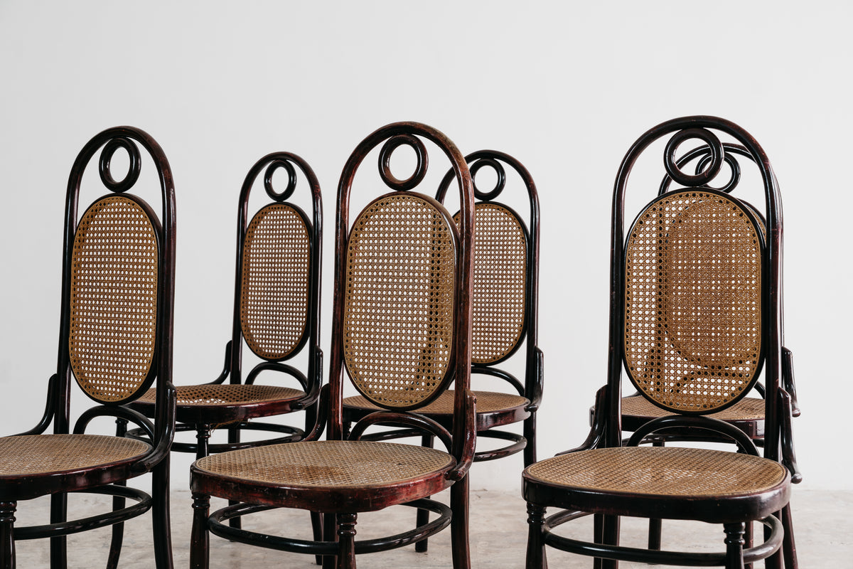 Set 6 Sedie Sautto & Liberale Vintage Anni 50 Legno Curvato Paglia di Vienna Stile Thonet Leone