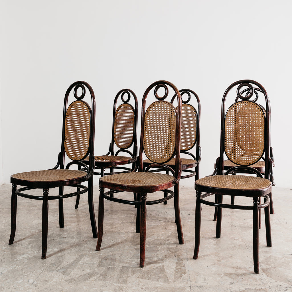 Set 6 Sedie Sautto & Liberale Vintage Anni 50 Legno Curvato Paglia di Vienna Stile Thonet Leone