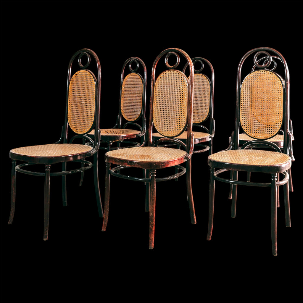 Set 6 Sedie Sautto & Liberale Vintage Anni 50 Legno Curvato Paglia di Vienna Stile Thonet Leone