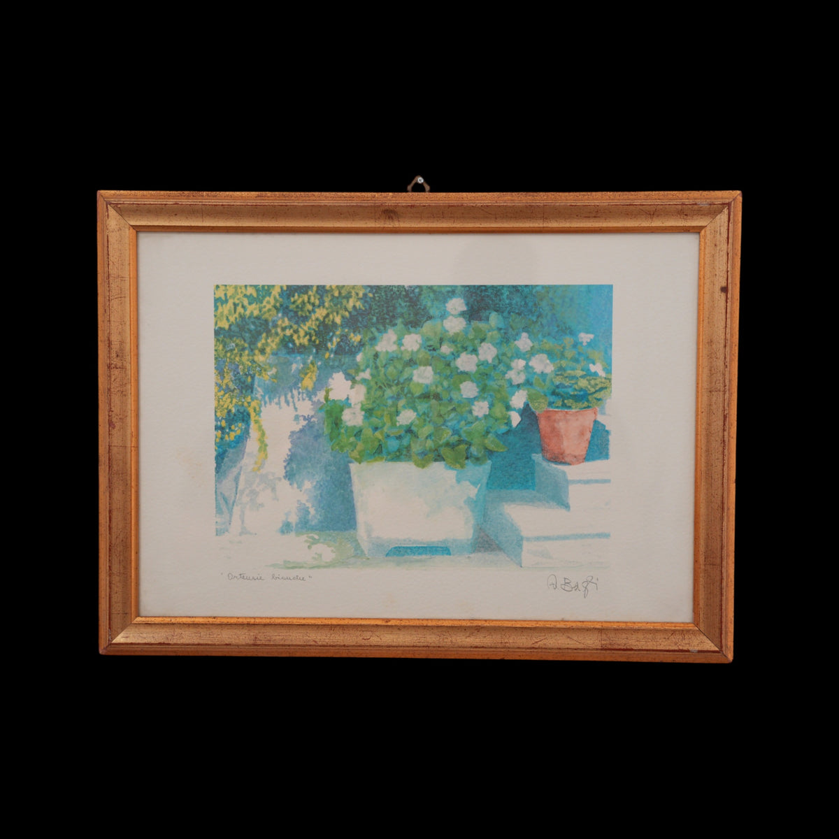 "Ortensie Bianche" – Stampa d'Arte Firmata e Titolata a Matita, Cornice Dorata, 41 x 56 cm
