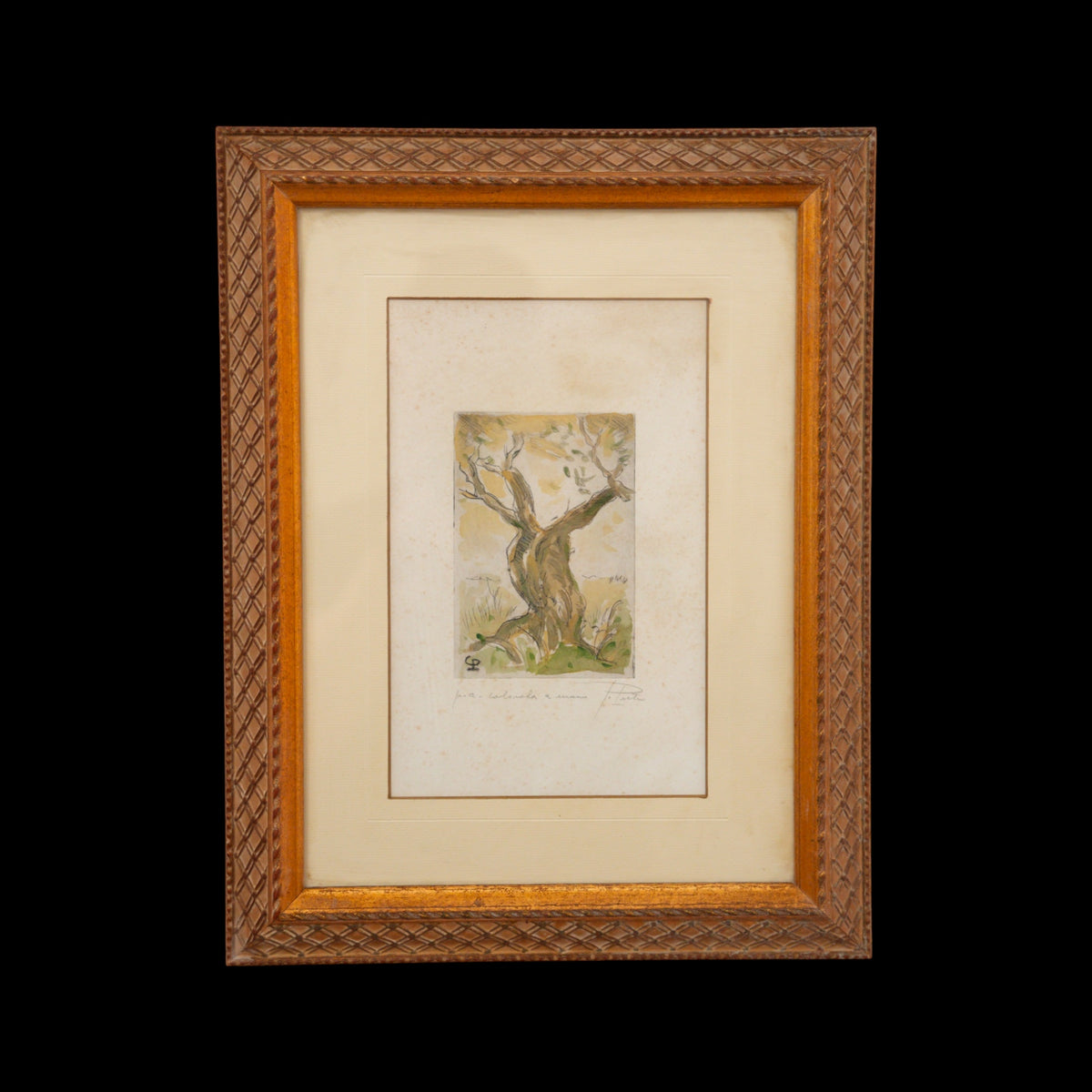 Ulivo – Acquaforte Colorata a Mano, Prova d'Artista Firmata a Matita, Cornice Dorata Intagliata, 45 x 35 cm