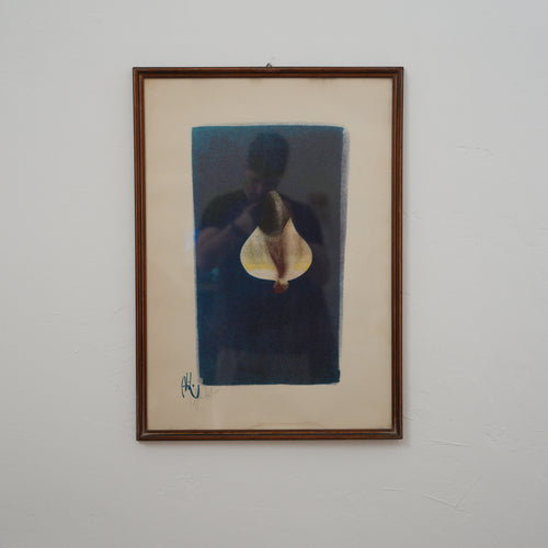Abidin Dino – Tulipano Stilizzato su Fondo Blu Notte – Stampa Numerata e Firmata, Cornice in Legno, 71 x 51 cm