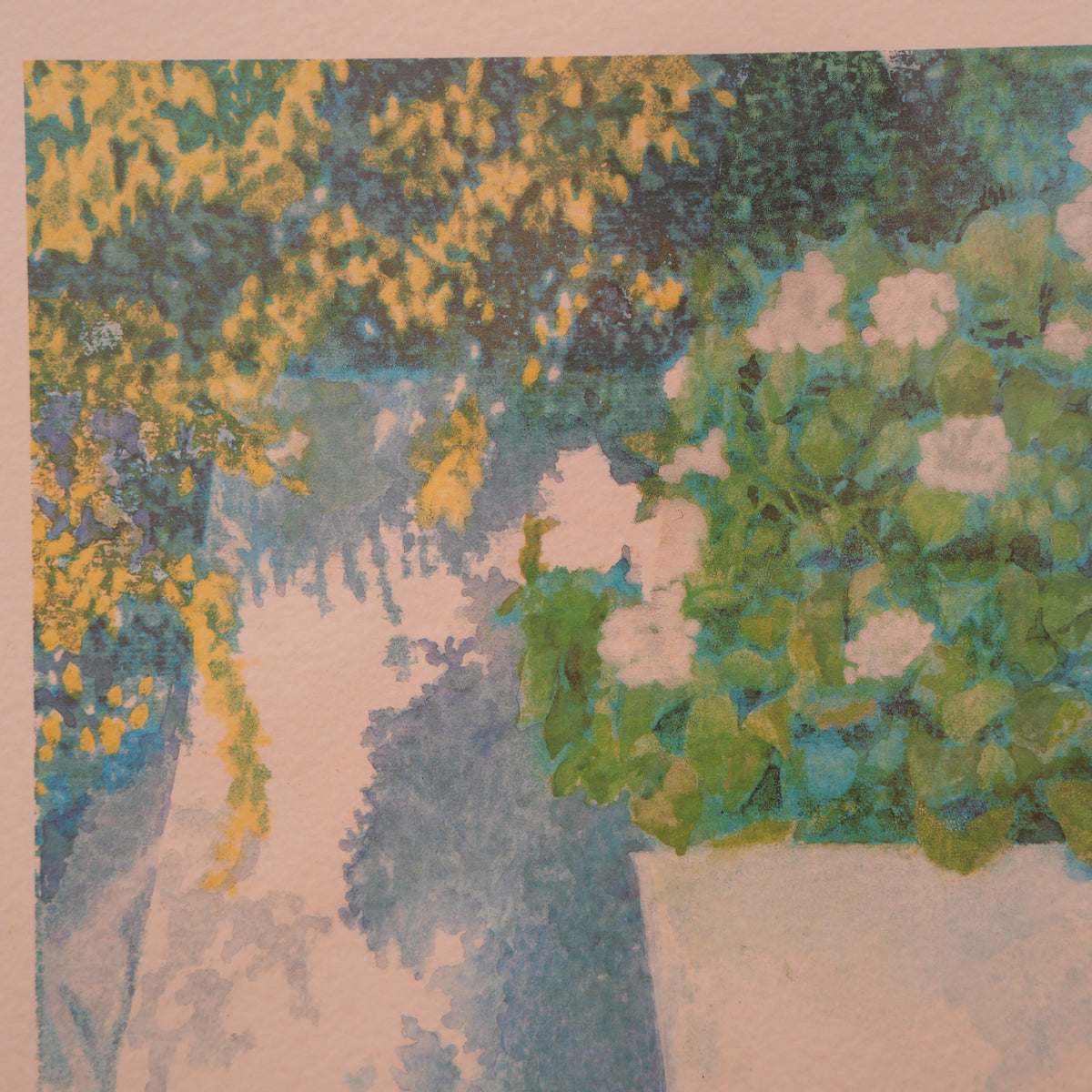 "Ortensie Bianche" – Stampa d'Arte Firmata e Titolata a Matita, Cornice Dorata, 41 x 56 cm