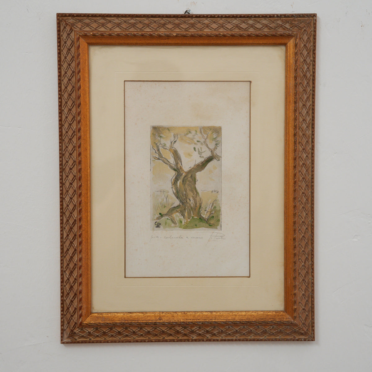 Ulivo – Acquaforte Colorata a Mano, Prova d'Artista Firmata a Matita, Cornice Dorata Intagliata, 45 x 35 cm