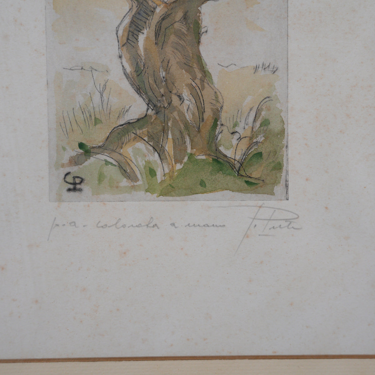 Ulivo – Acquaforte Colorata a Mano, Prova d'Artista Firmata a Matita, Cornice Dorata Intagliata, 45 x 35 cm