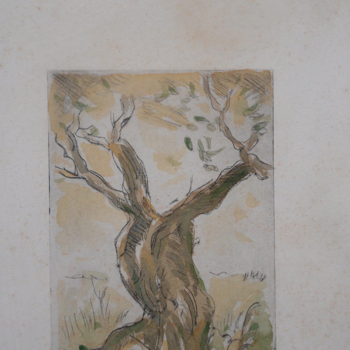 Ulivo – Acquaforte Colorata a Mano, Prova d'Artista Firmata a Matita, Cornice Dorata Intagliata, 45 x 35 cm